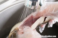 为什么猪油鱼汤更白,如何熬鱼汤会变乳白色？